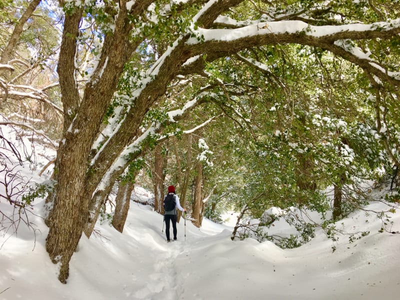 Hike of the Week: Here's how to keep hiking even with snow on the ground