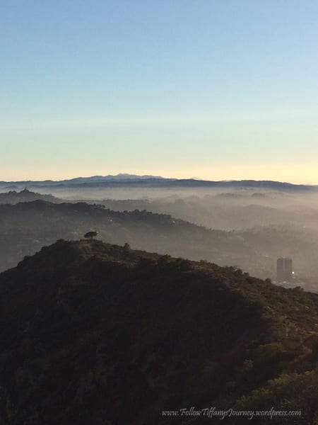 hollywood sign hike