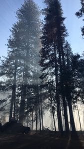 sequoia kings canyon backpacking