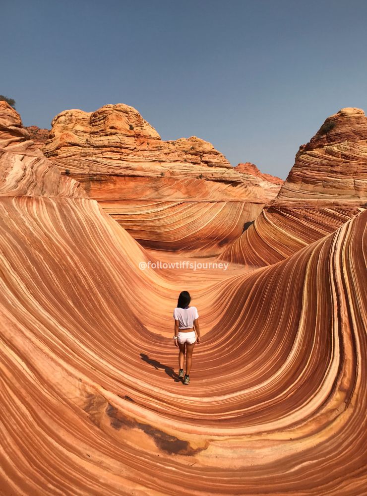 the wave viral photo followtiffsjourney