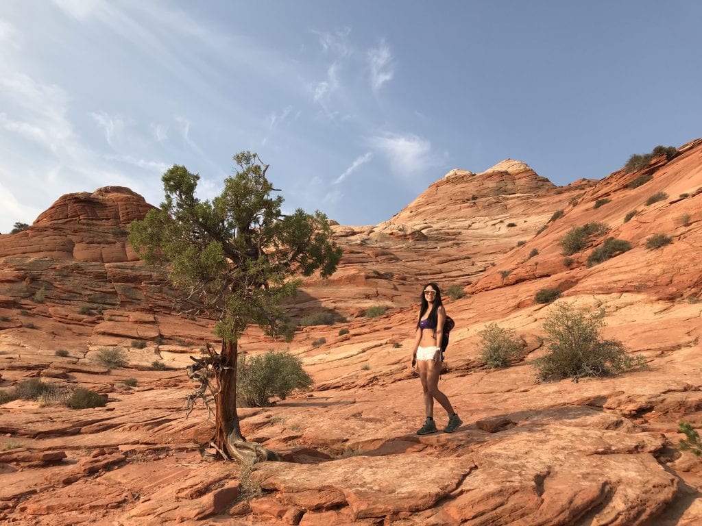 The Wave Arizona Guide Coyote Buttes North Permit Hike Tips