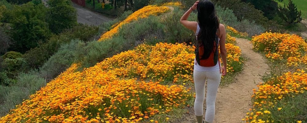 best hiking leggings