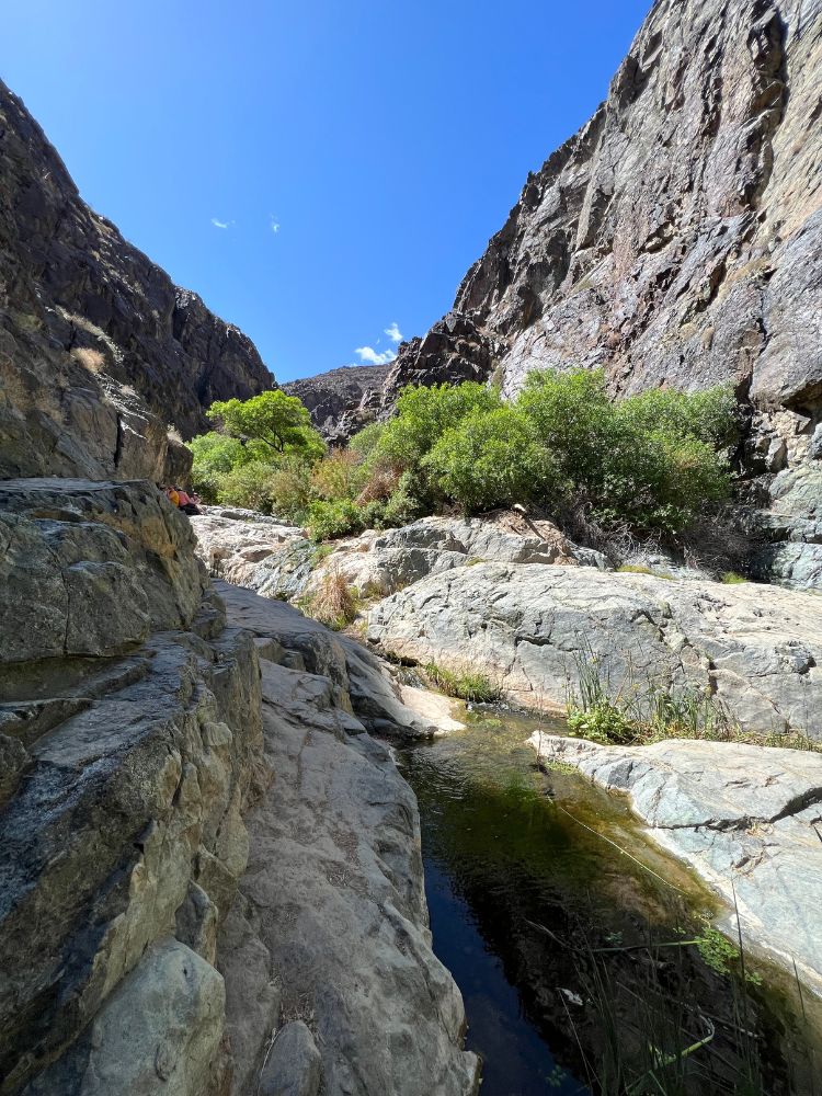 darwin falls, death valley hikes