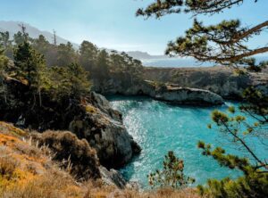 China Cove: A Hidden Gem In Point Lobos