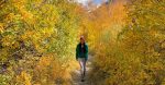 fall colors in eastern sierrra california