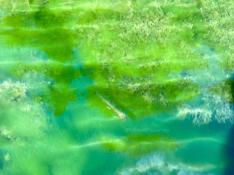 hanging lake colorado