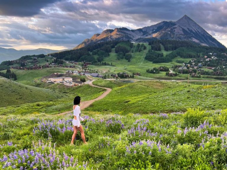 crested-butte-wildflower-visitor-guide-updated-with-current-conditions