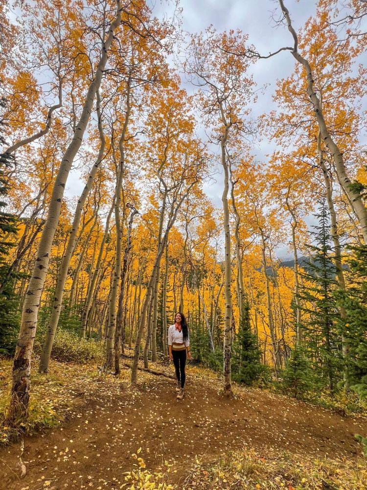 best fall hike in breckenridge aspen colors