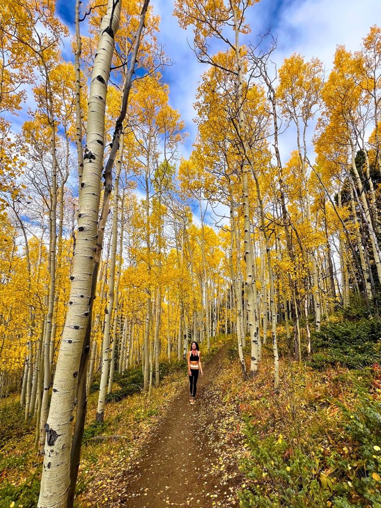 fall colors in colorado