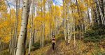 aspen alley fall hike in breckenridge