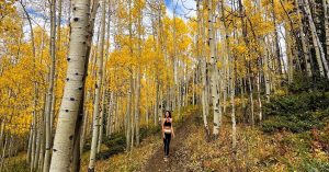 aspen alley fall hike in breckenridge