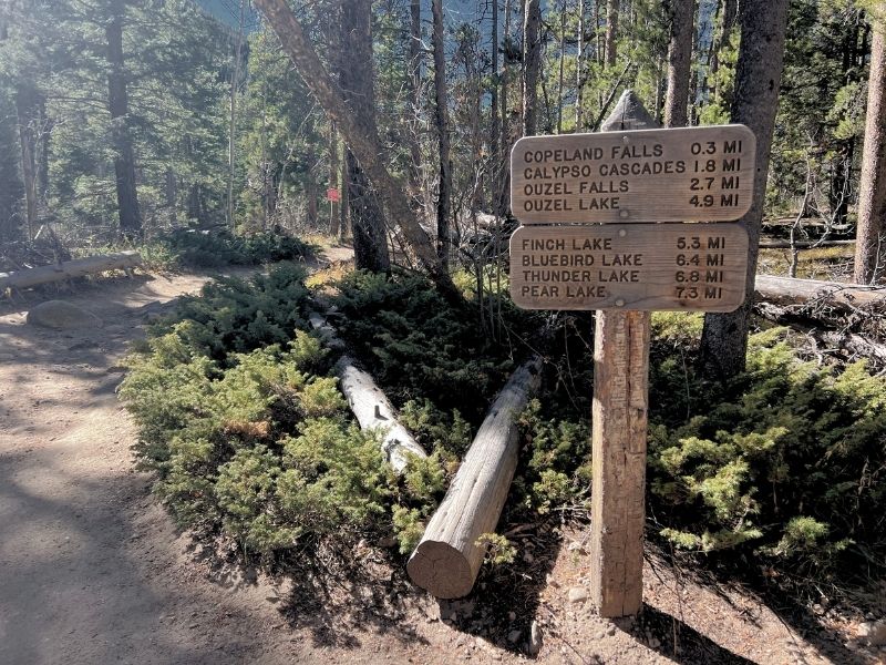wild basin trail in rmnp