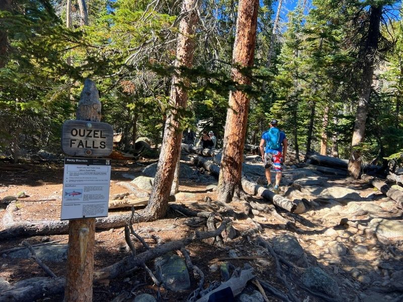 ouzel falls hike rmnp colorado
