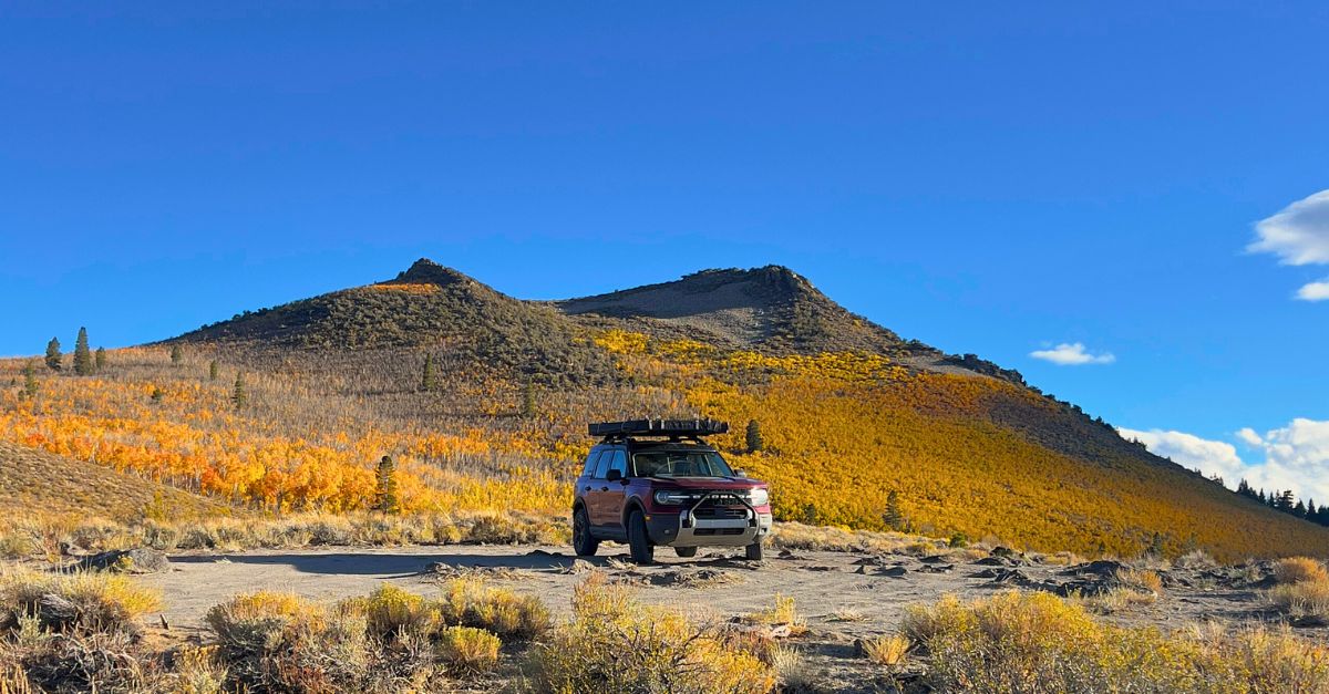 sagehen summit fall colors