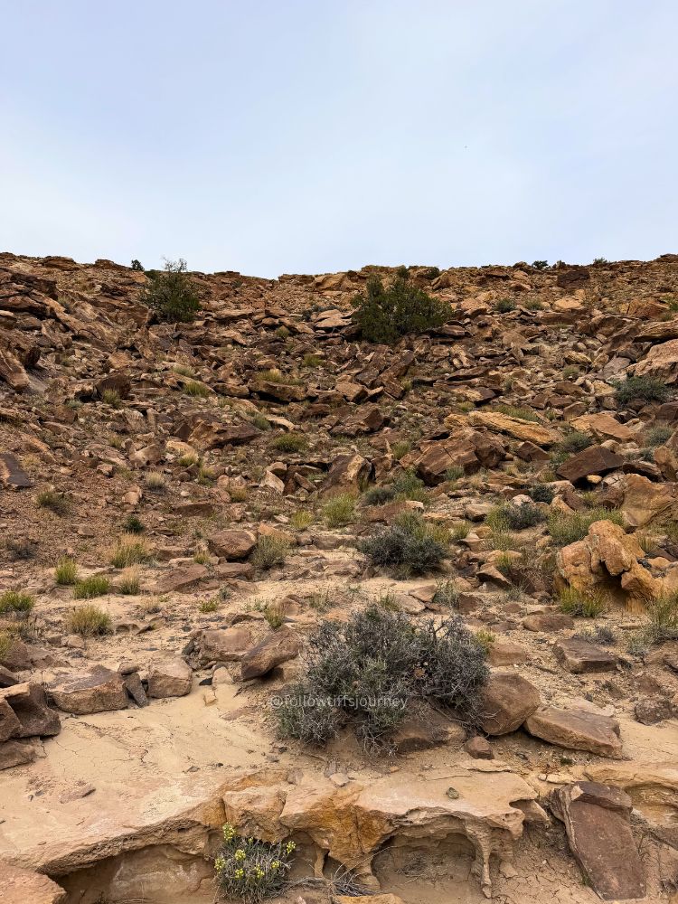 backpacking halls creek narrows shortcut trail