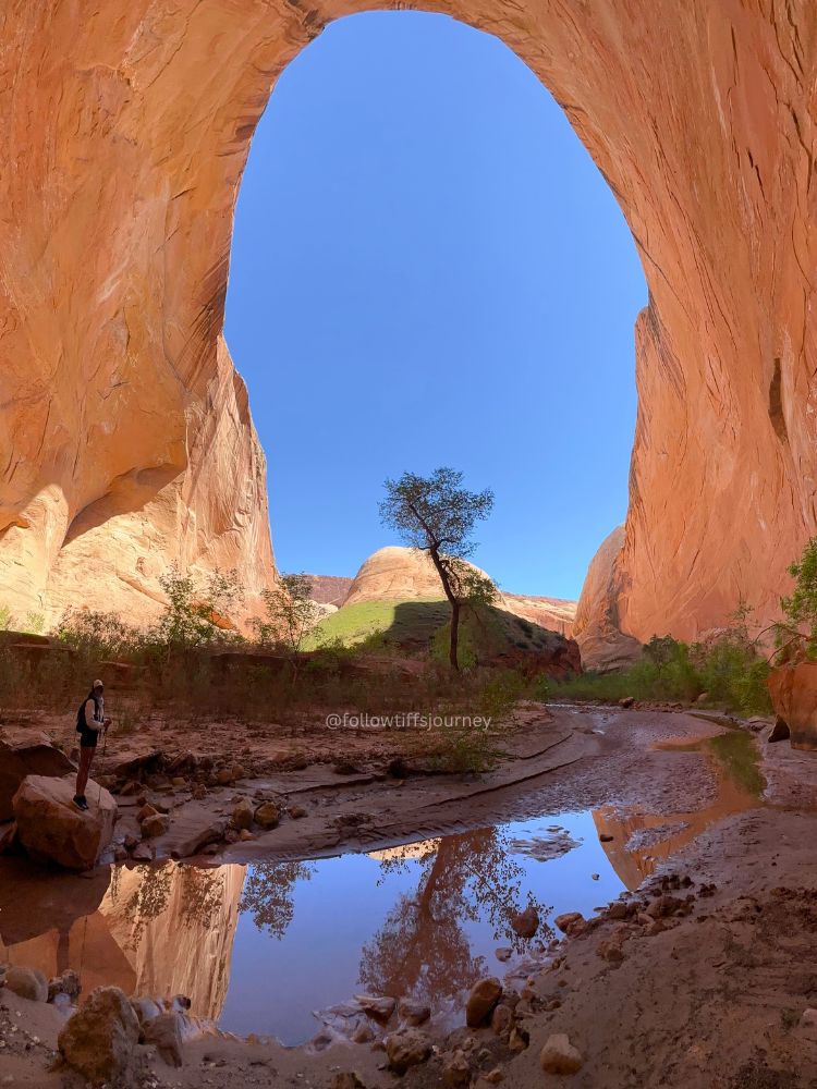 capitol reef narrows halls creek utah