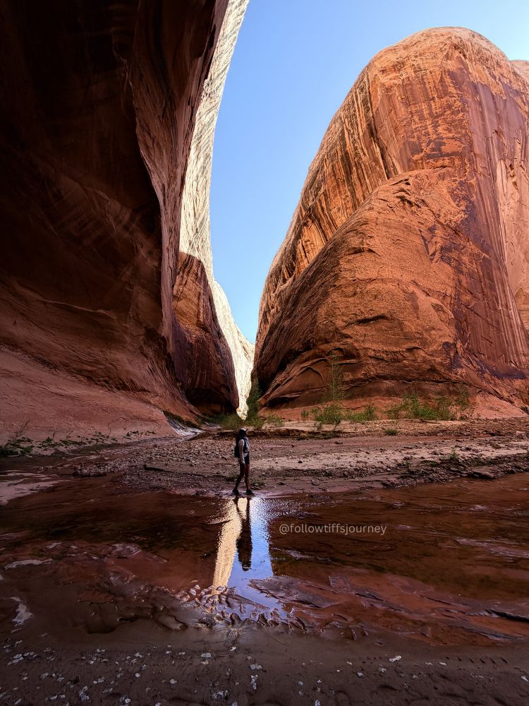 halls creek narrows slot canyon in utah