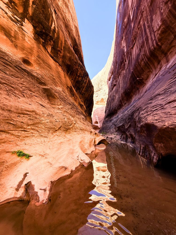 best utah canyon hike narrows