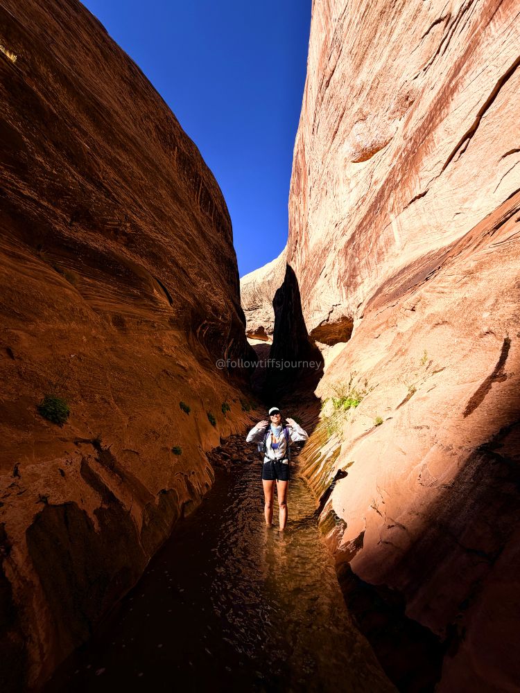 halls creek narrows capitol reef national park utah