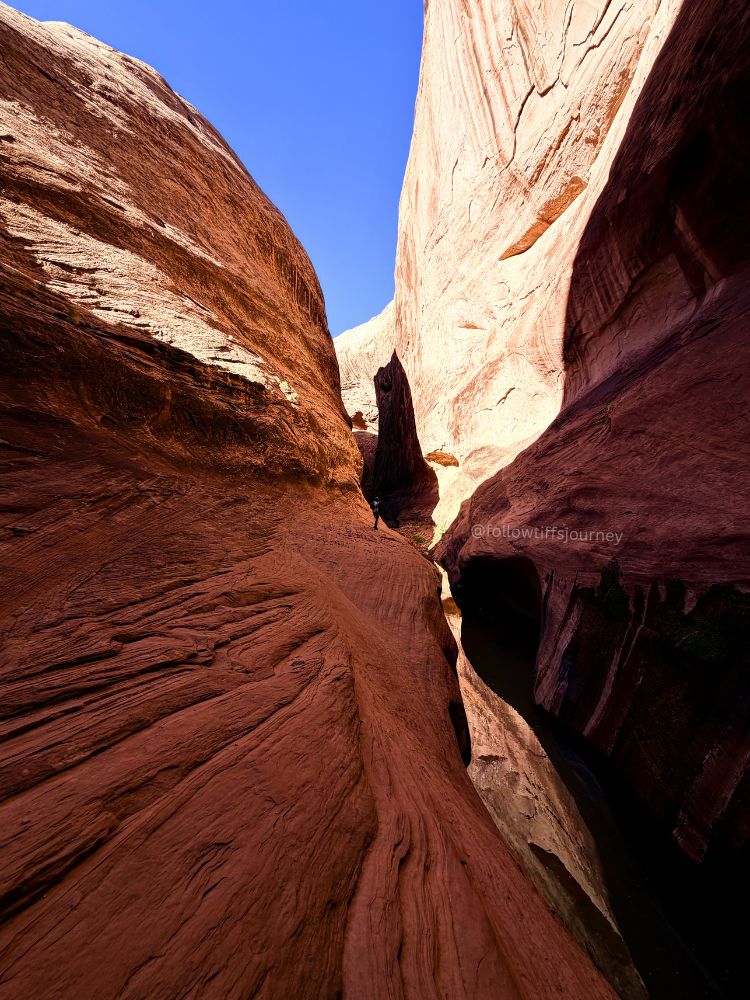 halls creek narrows slot canyon in utah