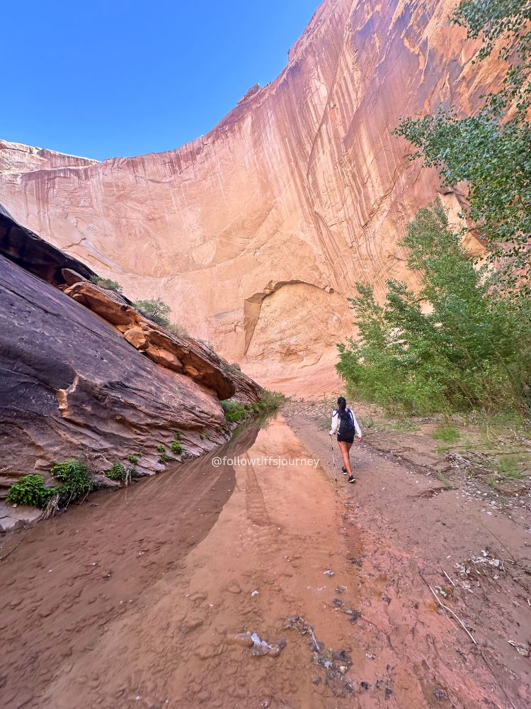 backpacking in utah canyons