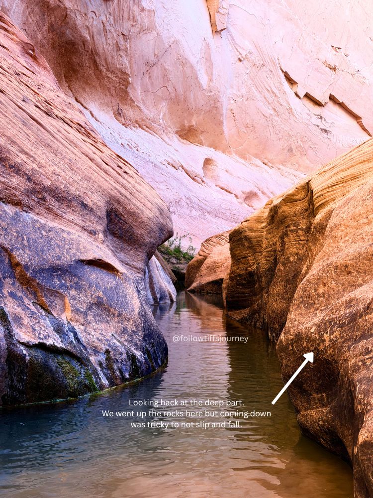 halls creek narrows slot canyon in utah