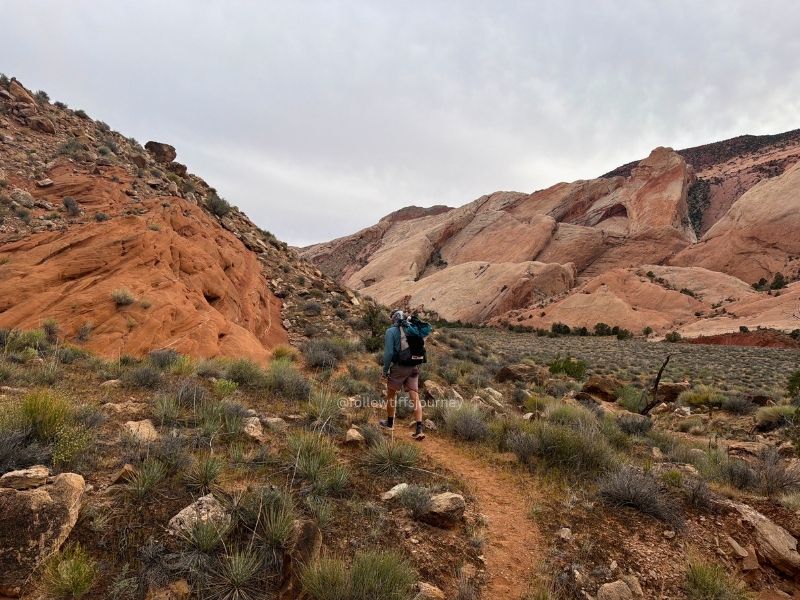 halls creek trail utah