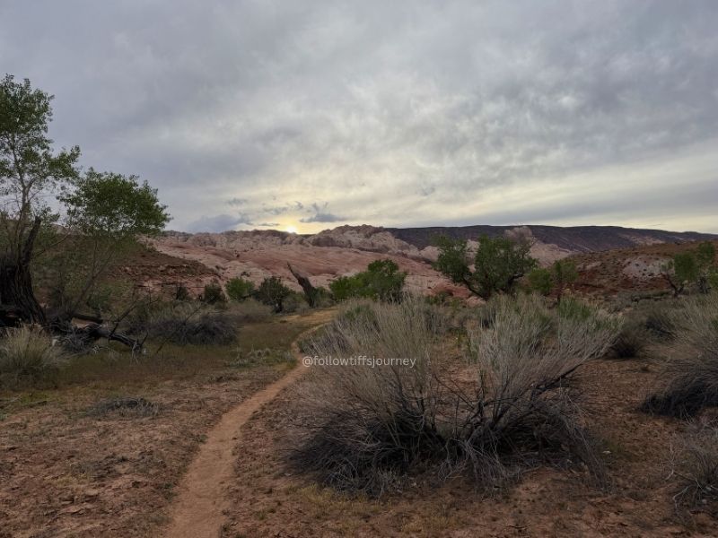 halls creek narrows junction