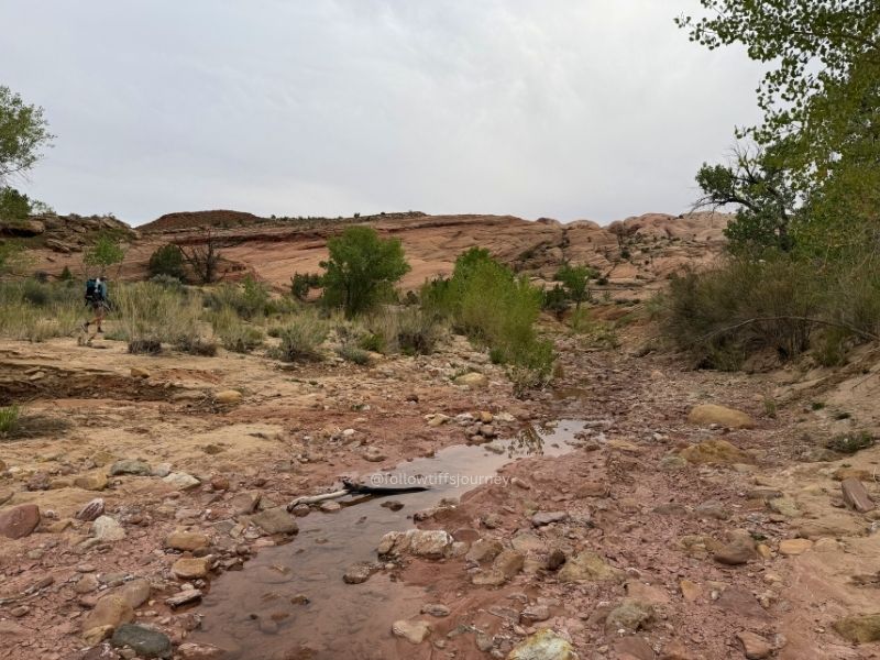 halls creek narrows junction
