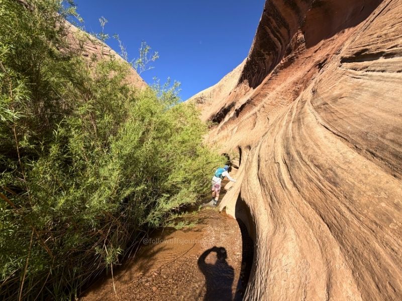 halls creek narrows junction