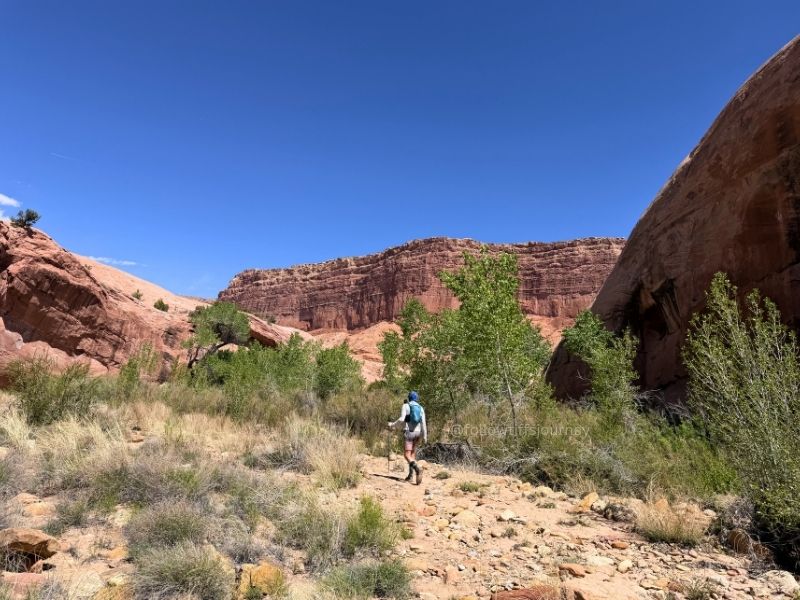 capitol reef national park hike in narrows