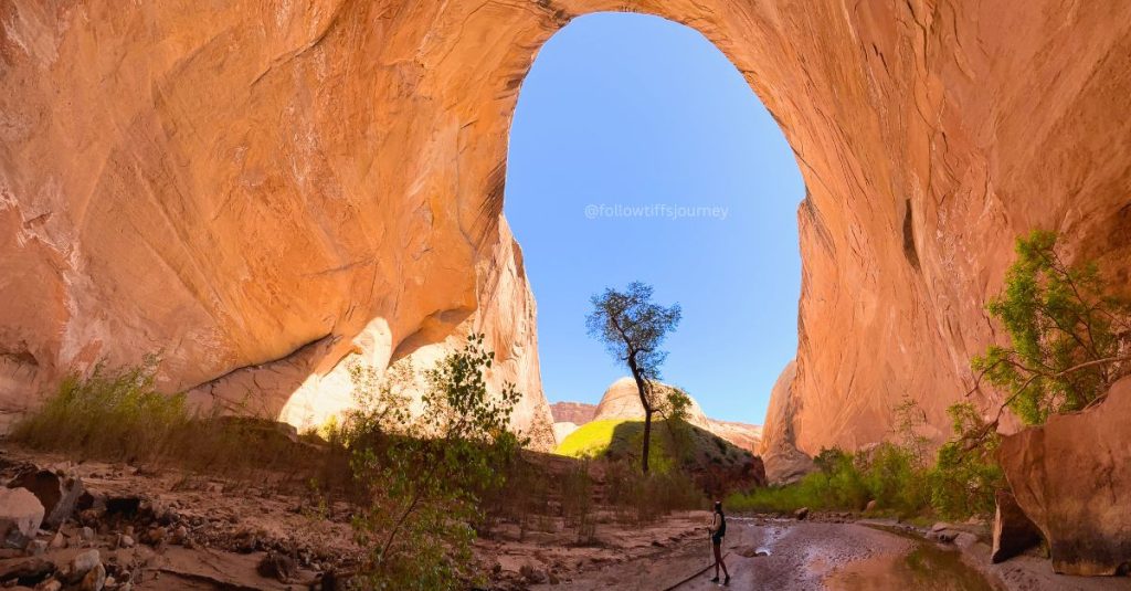halls creek narrows hike in utah
