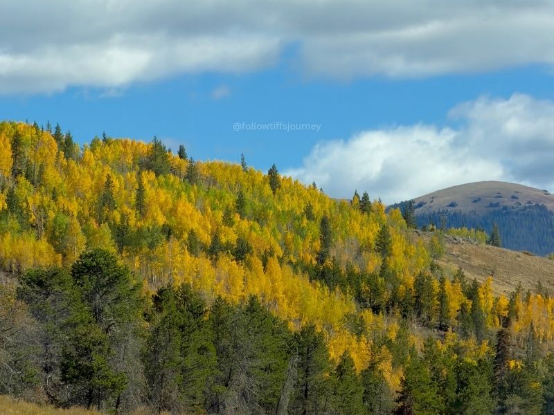 2026 colorado fall colors update