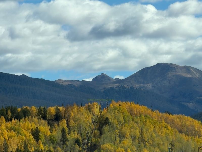 2026 colorado fall colors update