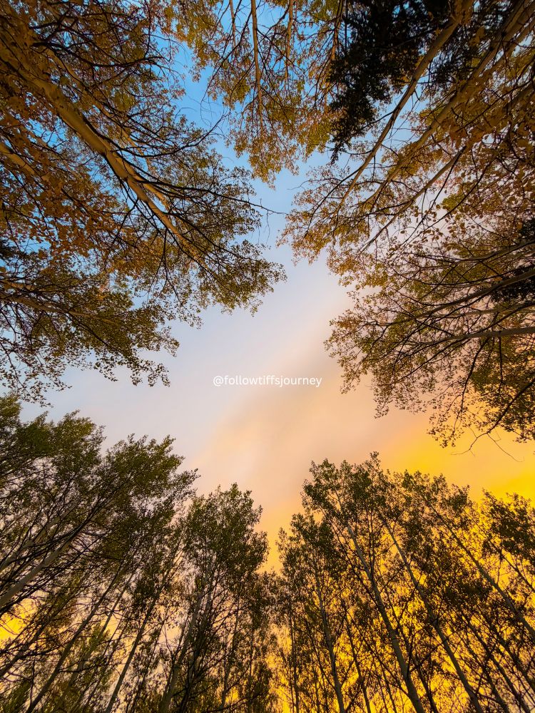 2026 Fall Colors Update nederland sunrise