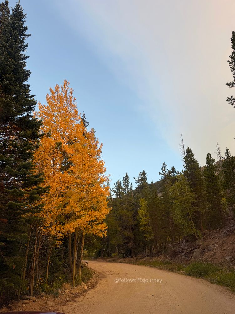 2026 Fall Colors Update