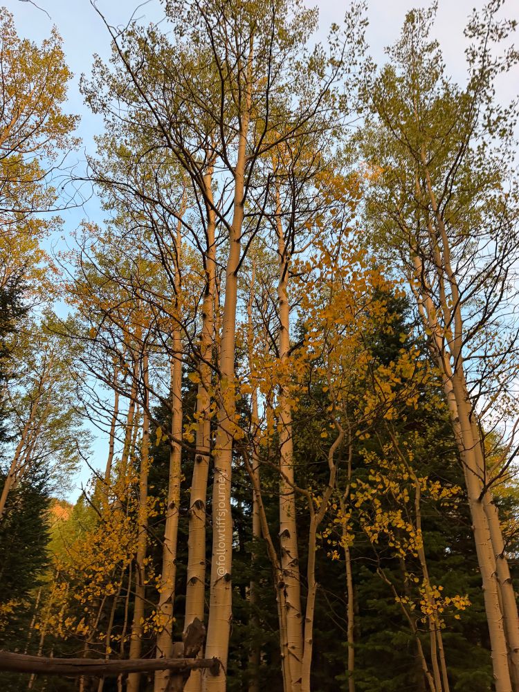 2026 Fall Colors Update