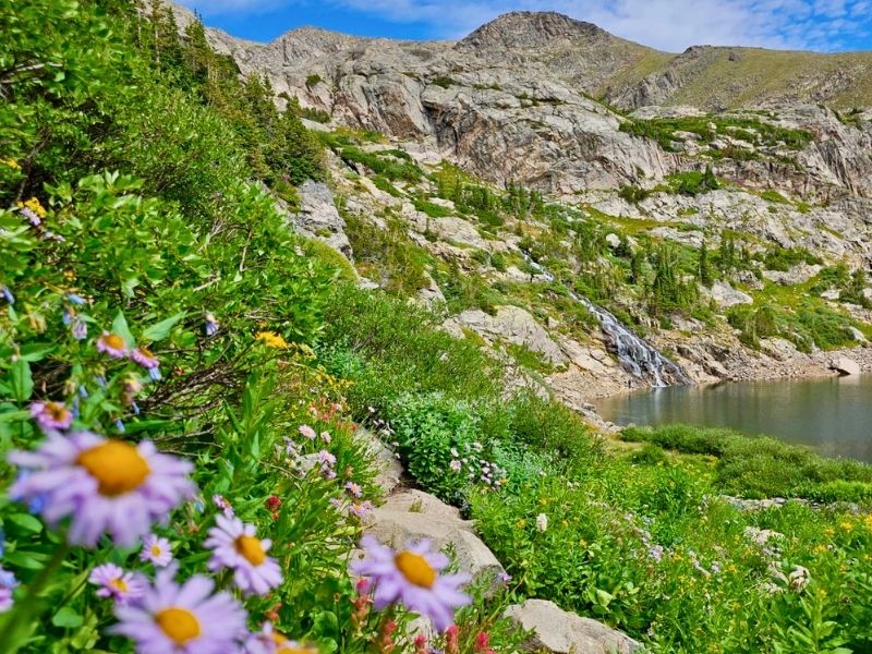 loch lomond colorado wildflower hike