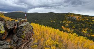 2026 colorado fall colors current conditions