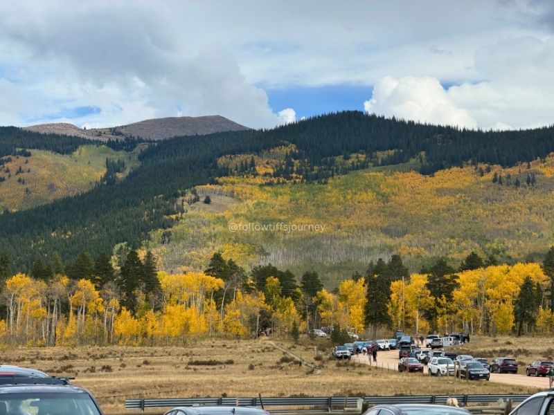 kenosha pass colorado current fall colors conditions 2026