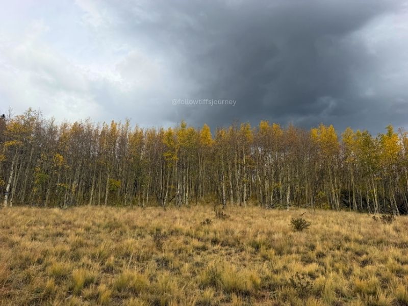 kenosha pass overlook road current fall colors conditions 2026
