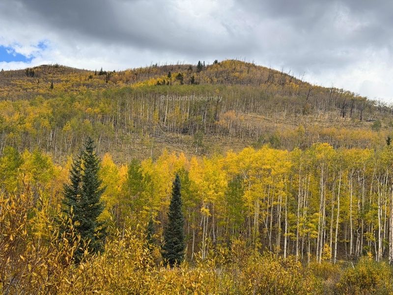 kenosha pass current fall colors conditions 2026