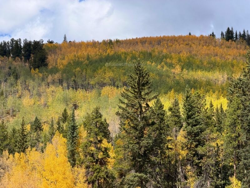 boreas pass fall 2026 colors condition