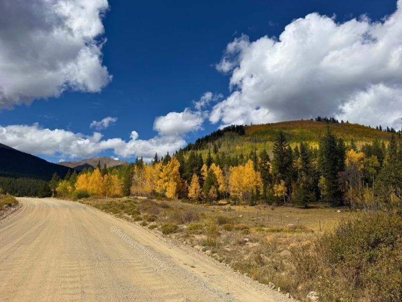 boreas pass fall colors in colorado 2026 current condition