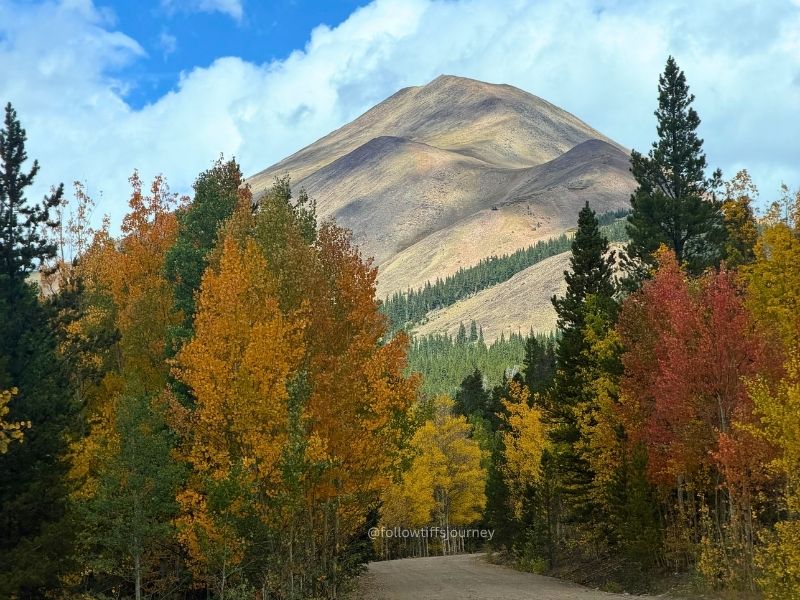 2026 fall colors in colorado