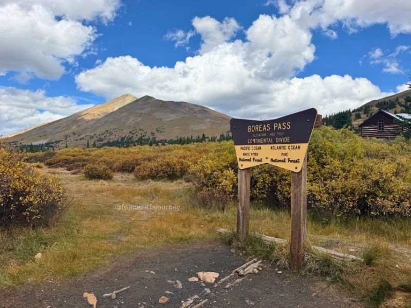 boreas pass fall colors in colorado 2026 current condition