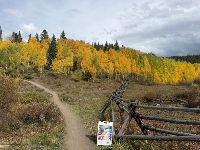 aspen alley 2026 fall colors update