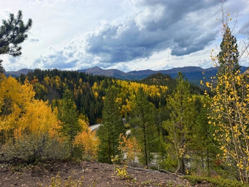 aspen alley 2026 fall colors update