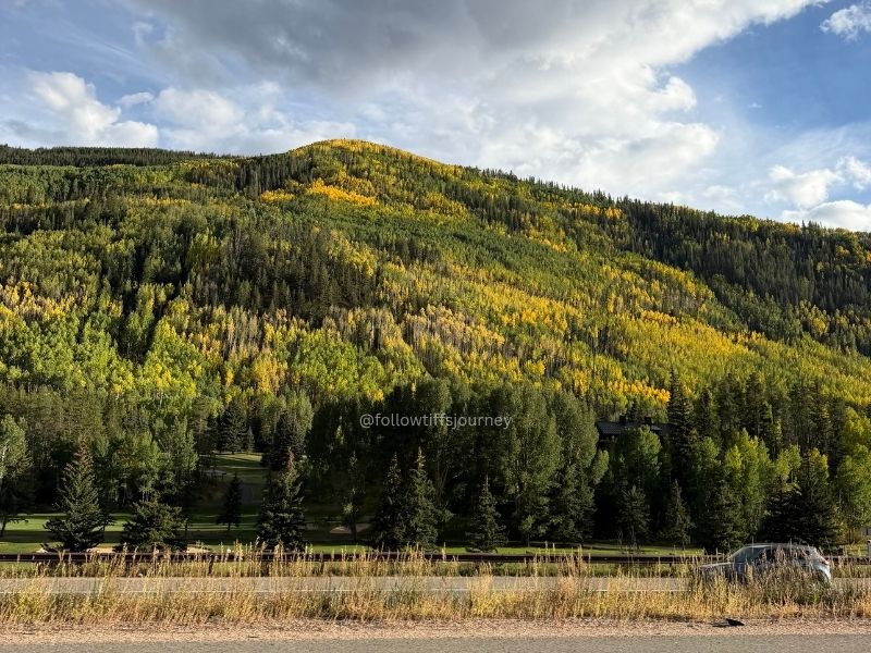 2026 Fall Colors in Vail