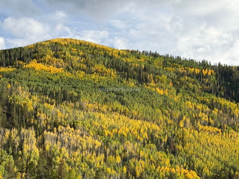 Vail Colorado Fall Colors